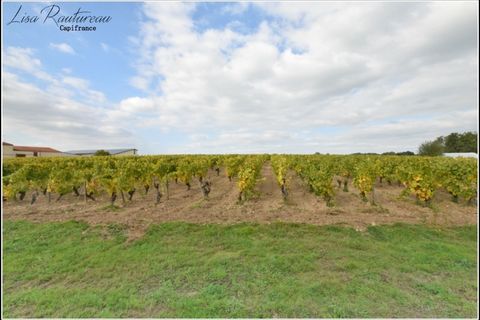 Villa a Clisson, Loire-Atlantique, Clisson - € 178.600 | Ref: 340936034703 - foto 2