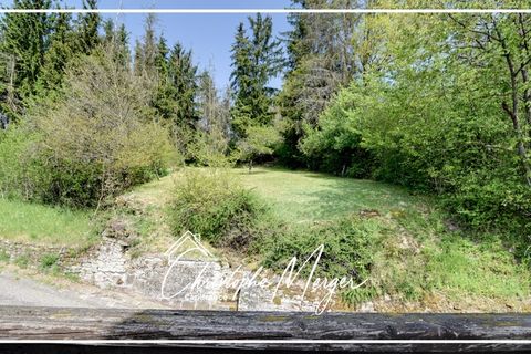 Villa a Phalsbourg, Moselle, Phalsbourg - € 135.000 | Ref: 340932706883 - foto 4