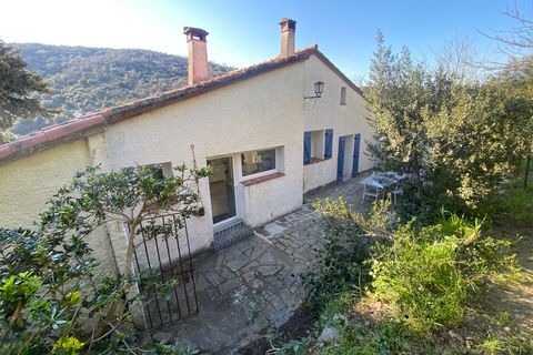 Villa a Ceret, Pyrenees-Orientales, Ceret - € 386.000 | Ref: 340931343413 - foto 11