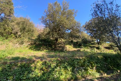 Villa a Ceret, Pyrenees-Orientales, Ceret - € 386.000 | Ref: 340931343413 - foto 14
