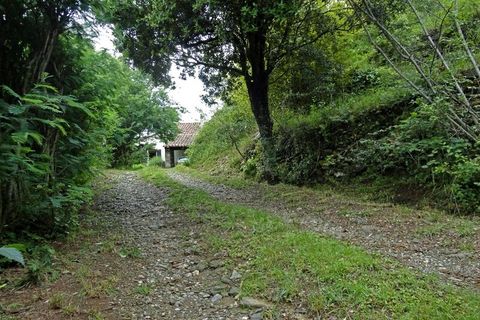 Villa a Ceret, Pyrenees-Orientales, Ceret - € 386.000 | Ref: 340931343413 - foto 22