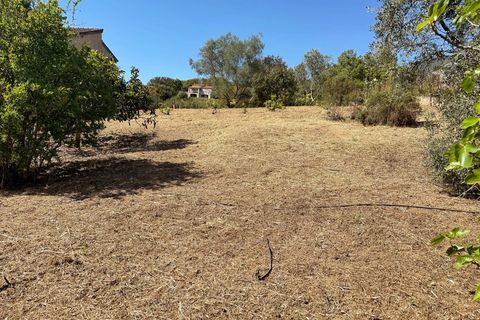 Villa a Appietto, Corse-du-Sud, Appietto - € 480.000 | Ref: 340931876222 - foto 20