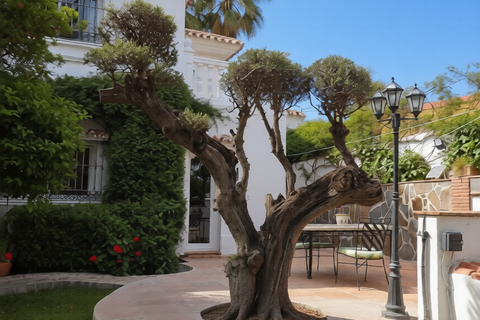 Landejendom i Monda, Malaga, Monda - € 795.000 | Ref: SPCRM5017 - foto 24