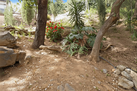 Landejendom i Monda, Malaga, Monda - € 795.000 | Ref: SPCRM5017 - foto 25