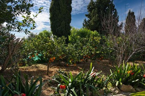 Villa i Javea, Alicante, Javea - € 895.000 | Ref: LUX5993 - foto 19