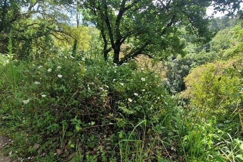 Helårsgrund i Mafra, Lisbon, Mafra - € 130.000 | Ref: 887139 - foto 2