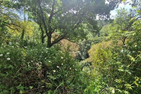 Helårsgrund i Mafra, Lisbon, Mafra - € 130.000 | Ref: 887139 - foto 4