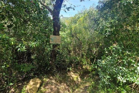 Helårsgrund i Mafra, Lisbon, Mafra - € 130.000 | Ref: 887139 - foto 5