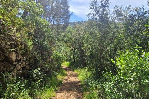 Helårsgrund i Mafra, Lisbon, Mafra - € 130.000 | Ref: 887139 - foto 6
