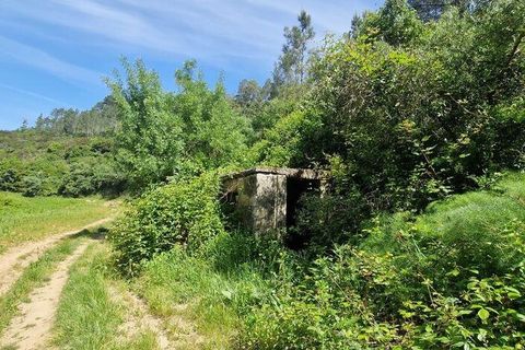 Helårsgrund i Mafra, Lisbon, Mafra - € 130.000 | Ref: 887139 - foto 19