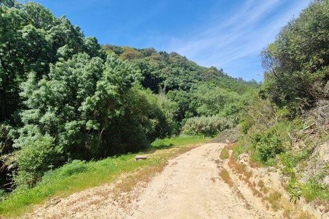 Helårsgrund i Mafra, Lisbon, Mafra - € 130.000 | Ref: 887139 - foto 21