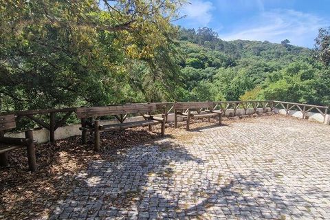 Helårsgrund i Mafra, Lisbon, Mafra - € 130.000 | Ref: 887139 - foto 22