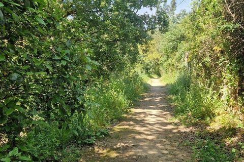 Helårsgrund i Mafra, Lisbon, Mafra - € 130.000 | Ref: 887139 - foto 24
