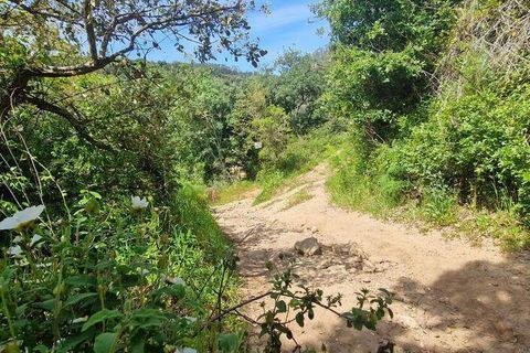 Helårsgrund i Mafra, Lisbon, Mafra - € 130.000 | Ref: 887139 - foto 25
