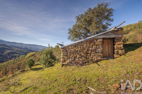 Terra a Seia, Guarda, Seia - € 41.000 | Ref: 909326 - foto 3