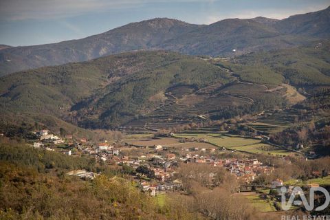 Terra a Seia, Guarda, Seia - € 41.000 | Ref: 909326 - foto 4
