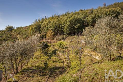 Terra a Seia, Guarda, Seia - € 41.000 | Ref: 909326 - foto 5