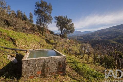 Terra a Seia, Guarda, Seia - € 41.000 | Ref: 909326 - foto 7