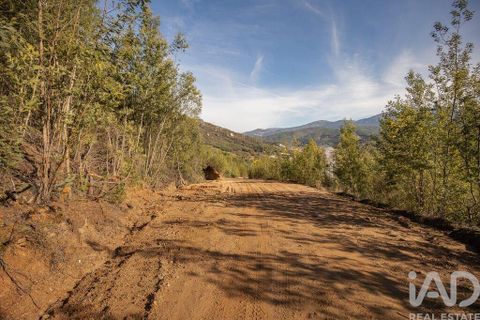 Terra a Seia, Guarda, Seia - € 41.000 | Ref: 909326 - foto 8