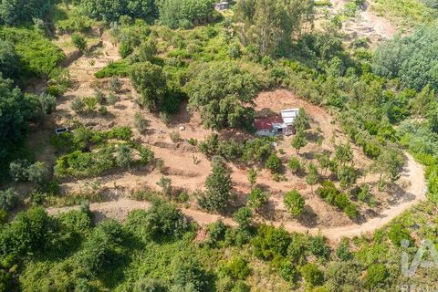 Helårsgrund i Seia, Guarda, Seia - € 41.000 | Ref: 909326 - foto 11
