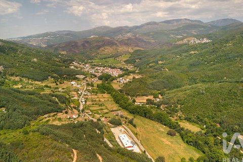 Helårsgrund i Seia, Guarda, Seia - € 41.000 | Ref: 909326 - foto 12
