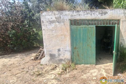 Landejendom i Arboleas, Almeria, Arboleas - € 264.995 | Ref: EAF-34780840 - foto 28