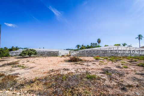 Masia a Elche, Alicante, Elche - € 138.000 | Ref: PC0031 - foto 10