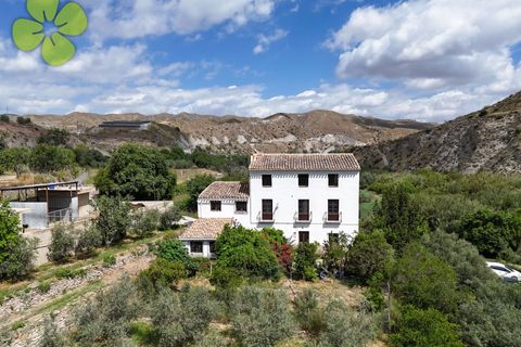 Landejendom i Albanchez, Almeria - foto 1