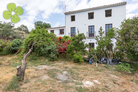 Landejendom i Albanchez, Almeria - foto 2