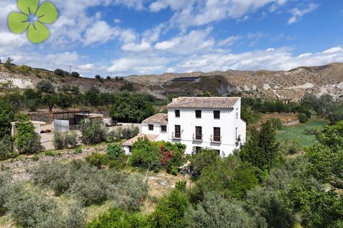 Landejendom i Albanchez, Almeria, Albanchez - € 112.000 | Ref: CRE-2703 - foto 22