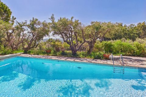 Villa a Draguignan, Var, Draguignan - € 995.000 | Ref: HH-16165968 - foto 2