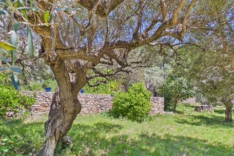 Villa a Draguignan, Var, Draguignan - € 995.000 | Ref: HH-16165968 - foto 43