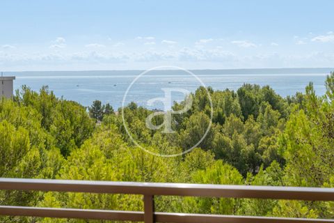 Appartement - Calvia, Mallorca, Calvia - € 1 650 000 | Réf : VPM2605001 - photo 29