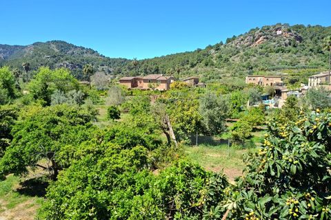 Villa i Soller, Mallorca, Soller - € 700.000 | Ref: 3071 - foto 6