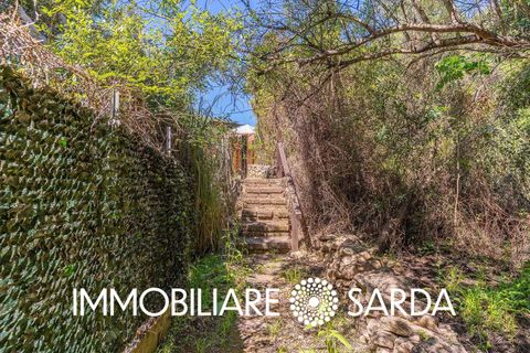 Villa i Palau, Sassari, Palau - € 490.000 | Ref: PLI-01-26 - foto 35