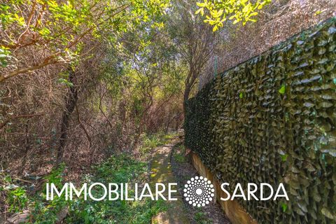 Villa i Palau, Sassari, Palau - € 490.000 | Ref: PLI-01-26 - foto 36