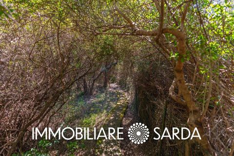 Villa i Palau, Sassari, Palau - € 490.000 | Ref: PLI-01-26 - foto 37