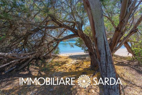 Villa i Palau, Sassari, Palau - € 490.000 | Ref: PLI-01-26 - foto 38