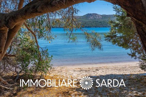 Villa i Palau, Sassari, Palau - € 490.000 | Ref: PLI-01-26 - foto 39