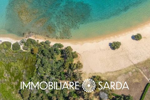 Villa i Palau, Sassari, Palau - € 490.000 | Ref: PLI-01-26 - foto 49