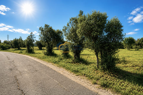 Terra a Algoz, Faro, Algoz - € 40.000 | Ref: NS104 - foto 1