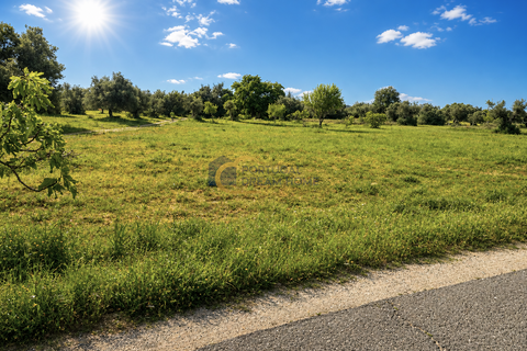Terra a Algoz, Faro, Algoz - € 40.000 | Ref: NS104 - foto 2