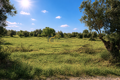 Terra a Algoz, Faro, Algoz - € 40.000 | Ref: NS104 - foto 3