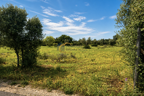 Terra a Algoz, Faro, Algoz - € 40.000 | Ref: NS104 - foto 4