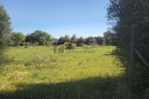 Terra a Algoz, Faro, Algoz - € 40.000 | Ref: NS104 - foto 8