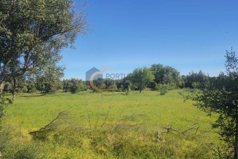 Terra a Algoz, Faro, Algoz - € 40.000 | Ref: NS104 - foto 9