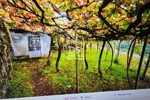 Terra a Sao Vincente, Madeira, Sao Vincente - € 95.000 | Ref: DSF245 - foto 3