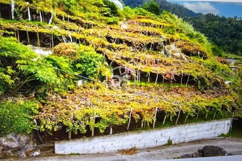 Terra a Sao Vincente, Madeira, Sao Vincente - € 95.000 | Ref: DSF245 - foto 4