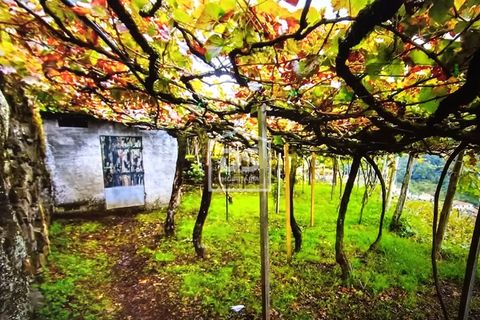Terra a Sao Vincente, Madeira, Sao Vincente - € 95.000 | Ref: DSF245 - foto 6