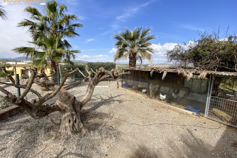 Landejendom i Huercal-Overa, Almeria, Huercal-Overa - € 349.950 | Ref: VH2739 - foto 32